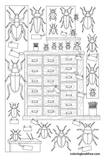 Beetle cabinet, a free Animals coloring page for Adults